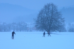 DSCN8836-1