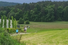 IMG_20250518_114316